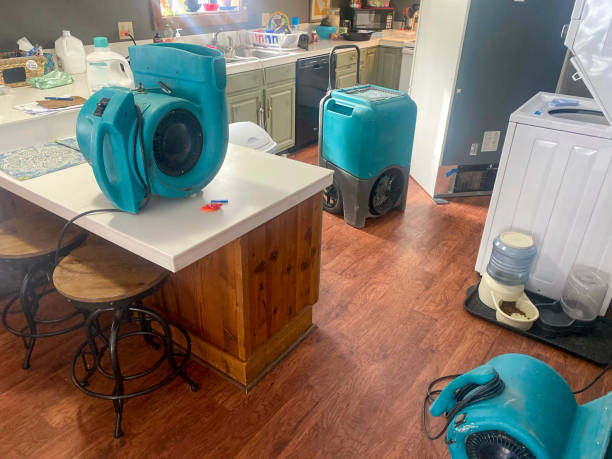 Best Water damage restoration near me  in Rancho Santa Margarita, CA