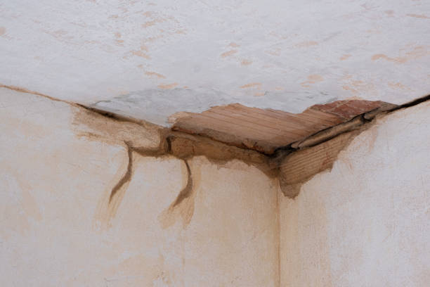 Best Water damage restoration near me  in Rancho Santa Margarita, CA