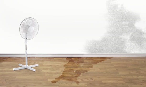 Best Local water damage restoration  in Rancho Santa Margarita, CA