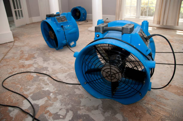 Best Water damage contractors near me  in Rancho Santa Margarita, CA