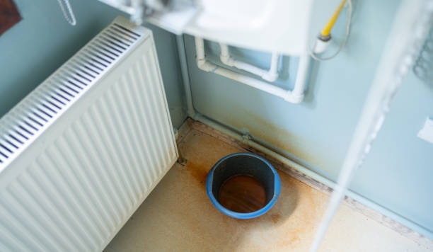 Best Water damage restoration mold remediation  in Rancho Santa Margarita, CA