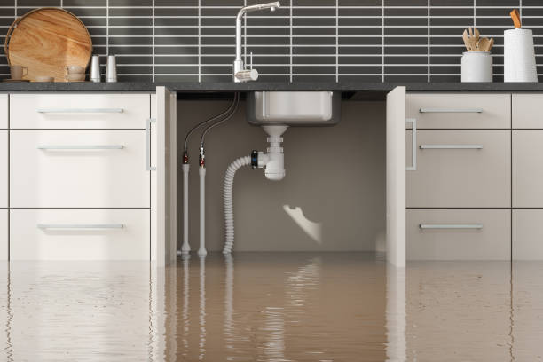 Best Residential water damage restoration  in Rancho Santa Margarita, CA