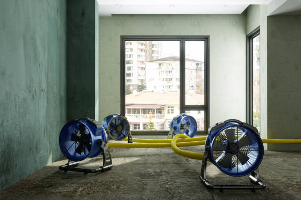 Best 24/7 water damage repair  in Rancho Santa Margarita, CA